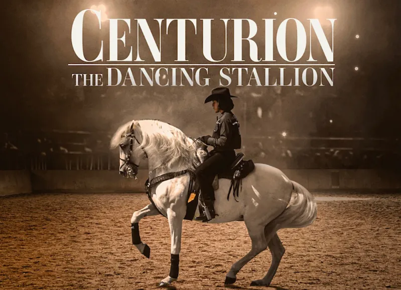 Centurion The Dancing Stallion